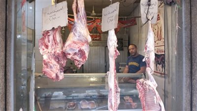 أسعار اللحوم والدواجن بالمجمعات الاستهلاكية فى الإسكندرية 