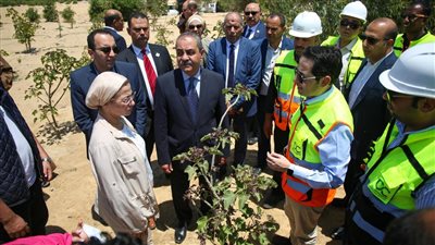 التعبئة والإحصاء: 5.5 مليون طن مخلفات يتم تدويرها على مستوى المحافظات