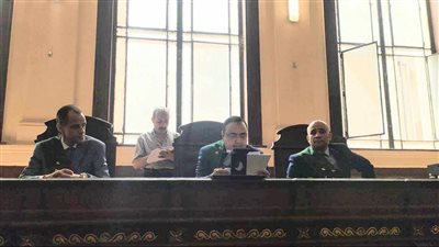 أحكام بالسجن، قرار الجنايات ضد المتهمين بالشروع في قتل البلوجر سارة 