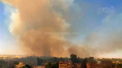 حريق هائل بمزارع نخيل في الوادي الجديد (صور)