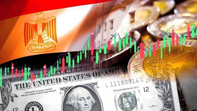 مؤشر مشتريات المصريين،