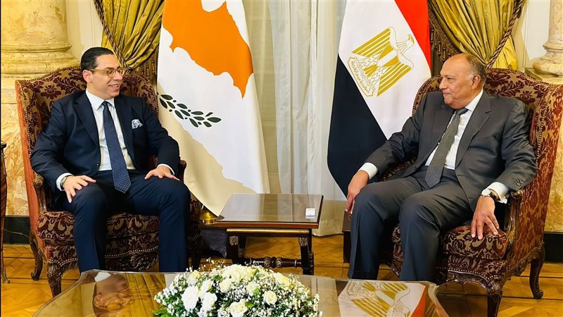 سامح شكرى وزير الخارجية،