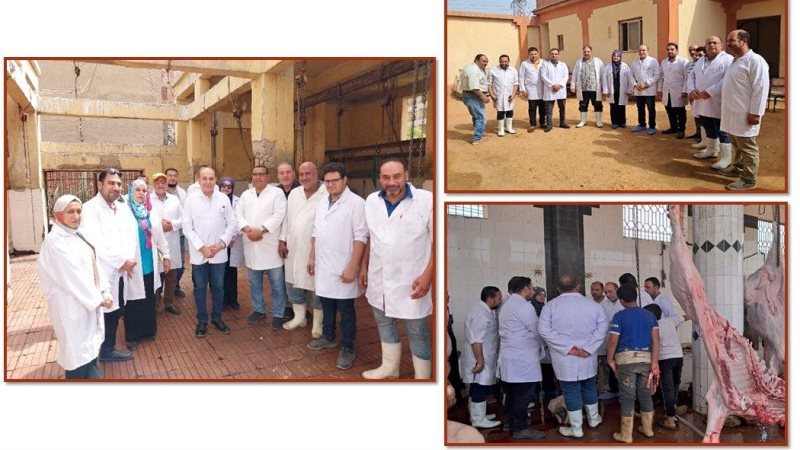 البرنامج التدريبي