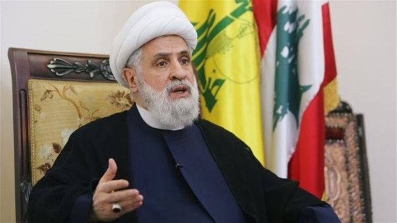 نعيم قاسم، فيتو