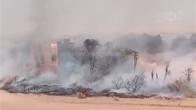 نيران حريق عين القُضا تهاجم المنازل والمزارع في الوادي الجديد (صور)