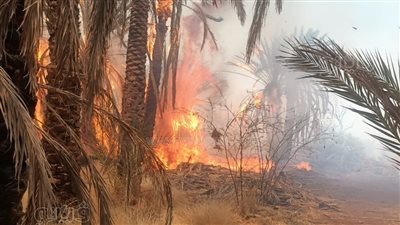 تفاصيل حريق 