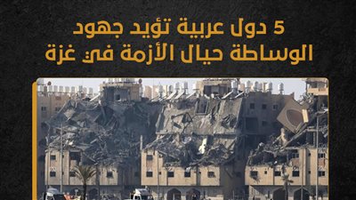5 دول عربية تؤيد جهود الوساطة حيال الأزمة في غزة (انفوجراف)