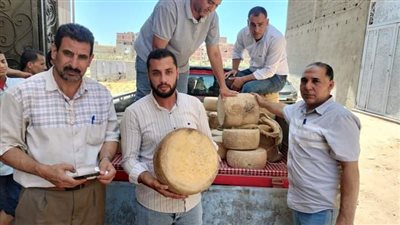 ضبط طن جبن رومى غير صالح للاستهلاك الآدمي في البحيرة