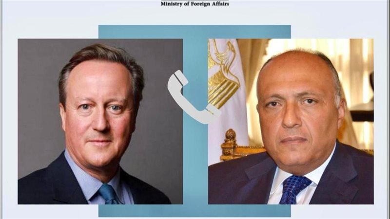 سامح شكرى وزير الخارجية