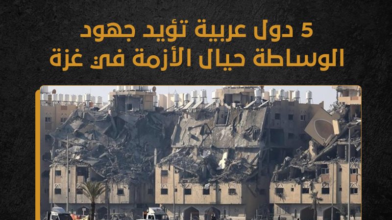 غزة، فيتو