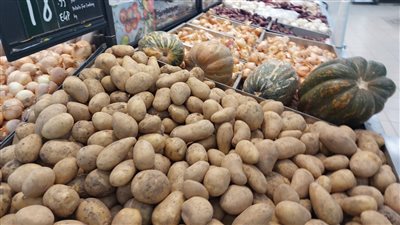  الكيلو يصل إلى 30 جنيهًا، شعبة الخضراوات توضح أسباب عودة ارتفاع سعر البطاطس