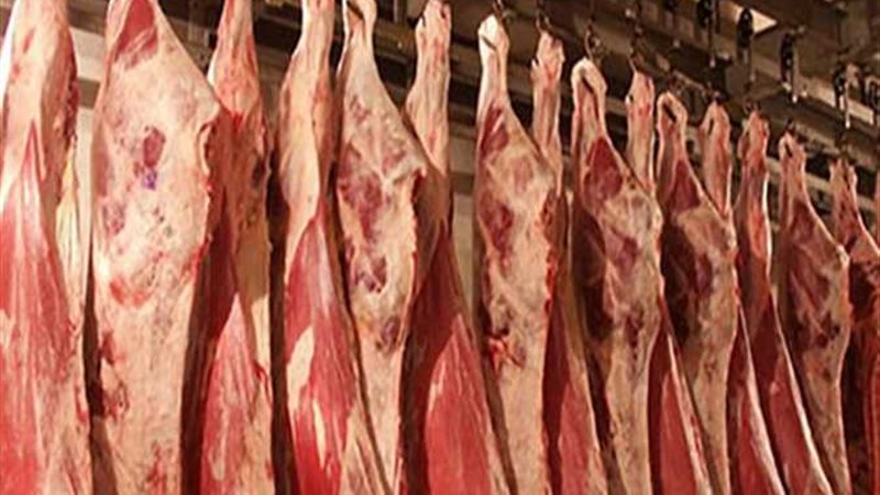 أسعار اللحوم في الأسواق،