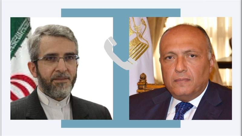 وزير الخارجية ونظيره