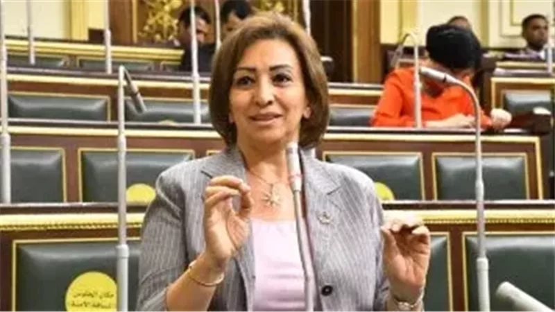  النائبة مها عبد