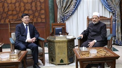 شيخ الأزهر: نرفض الاندماج السلبي الذي يحاول طمس الهوية الدينية للمسلمين في مجتمعاتهم