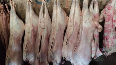 ضبط 37 طن لحوم غير صالحة وتحرير 75 محضرًا للمخالفين بالقاهرة (صور) 