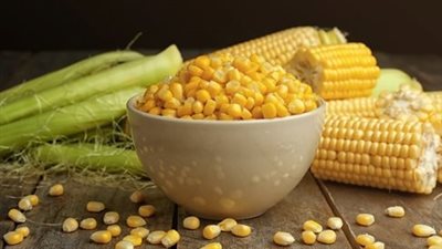 زيادة 100 جنيه في الطن، ارتفاع سعر الذرة المستورد بالأسواق