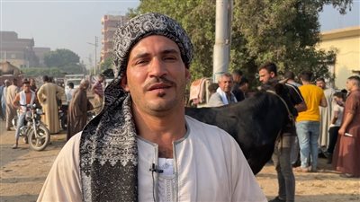 عند شراء الأضحية، احذر العجل المفتوح وهذه مواصفاته (فيديو وصور)