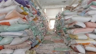 توريد 227 ألف طن من محصول القمح لشون وصوامع البحيرة