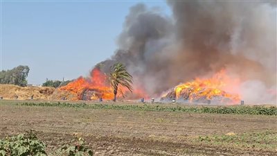  مسلسل حرائق عاصمة الكتان بالغربية عرض مستمر.. أهالي شبراملس يطالبون الحكومة بالتحرك.. برلماني يقترح إنشاء وحدة إطفاء.. والمحافظ: تطوير القرية ضرورة حتمية 