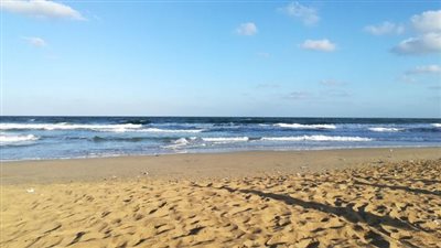 رئيس مصايف الإسكندرية ينفي وجود اشتباكات بالشوم والعصا بين رواد أحد شواطئ شرق 