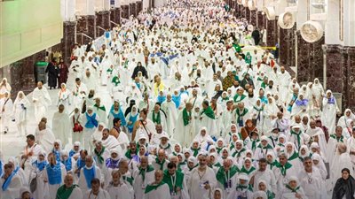 اسمه «محمد» ولقبه أصغر حاج في العالم، مكة تسجل أول ولادة في موسم الحج 2024