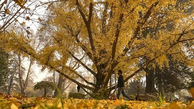 بسبب اضطرابات الطبيعة، 31 تريليون دولار معرضة للخطر بالمدن (إنفوجراف)