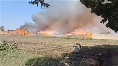 أول فيديو لحريق في شونة كتان بالغربية
