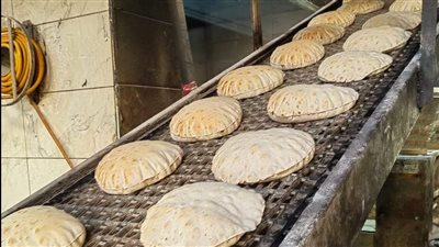 المرور على 360 مخبزا في حملات تموينية بالدقهلية (صور)