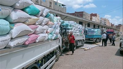 صوامع الدقهلية تستقبل 267 ألف طن قمح منذ بدء موسم التوريد 