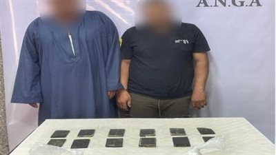 ضبط 5 عناصر إجرامية بحوزتهم مخدرات وقطع أثرية بـ2 مليون جنيه في الشرقية