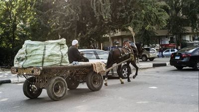  اقتراح بالشيوخ لحظر سير الكارو والتروسيكل في شوارع القاهرة