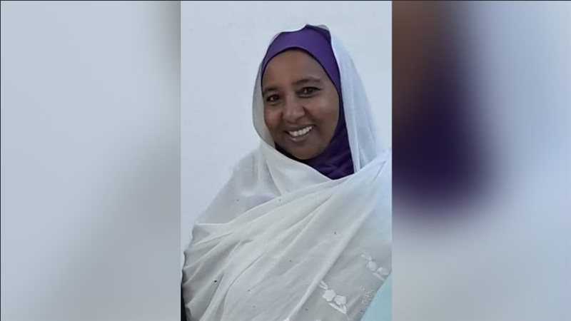 المهندسة هالة جيلاني،