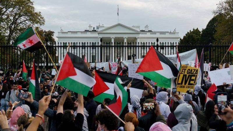 ناشطون مؤيدون للفلسطينيين،