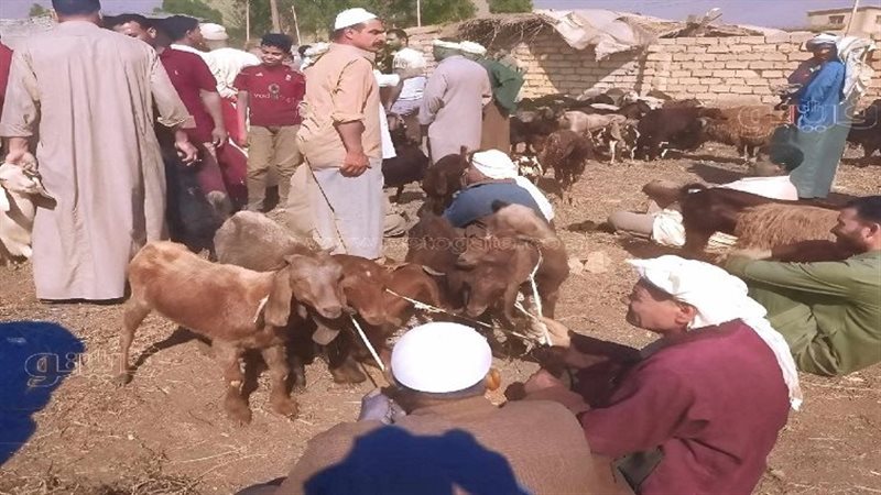 ننشر خريطة أسواق