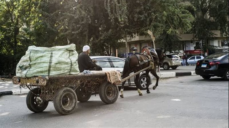 عربات الكارو، فيتو