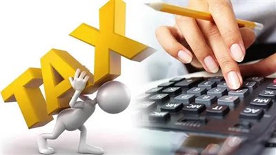 زيادة حصيلة الضرائب، خبير اقتصادي يكشف الحل الوحيد للخروج من الأزمة الاقتصادية