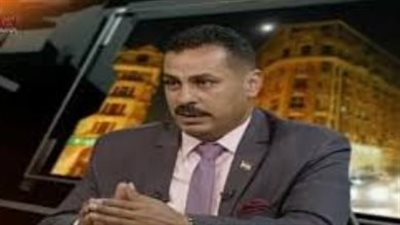 خبير اقتصادى: برنامج التنمية المحلية فى الصعيد أحدث طفرة تنموية