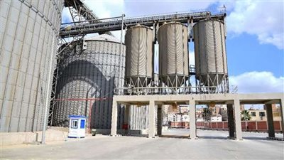 توريد 12 ألف طن قمح بالأقصر