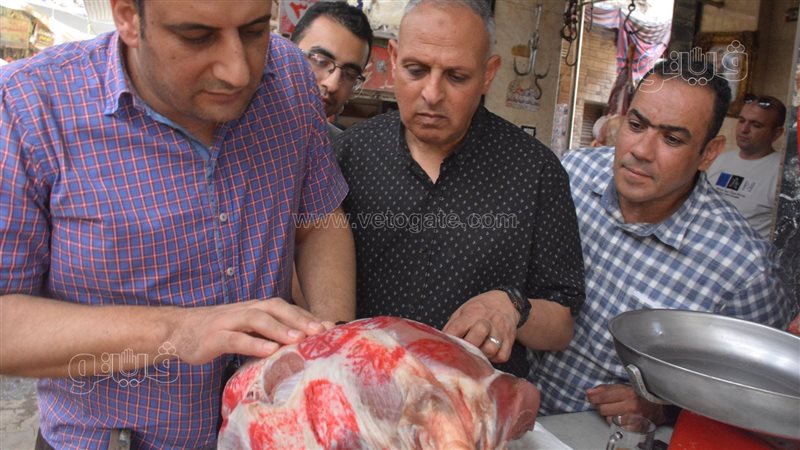 ضبط لحوم وفسيخ فاسد
