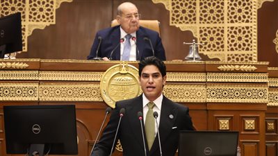 مجلس الشيوخ يحيل دراسة الشباب والذكاء الاصطناعى لرئيس الجمهورية