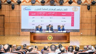 أبرز 6 قرارات لمحافظ الدقهلية في المجلس التنفيذي 