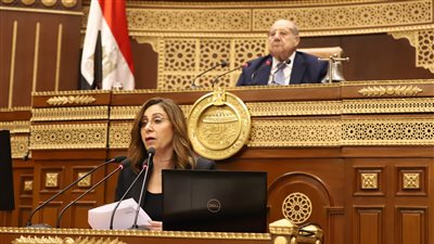 وزيرة الثقافة: نحتاج تعديلات تشريعية لبناء اقتصاد قوى فى الصناعات الإبداعية