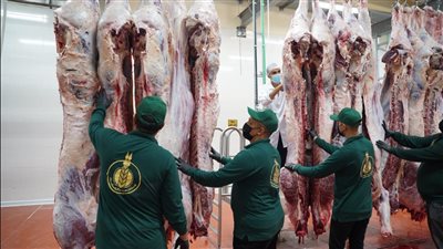 بيت الزكاة: 100 ألف أسرة أولى بالرعاية تستفيد من مبادرة «فطارك معانا يوم عرفة»