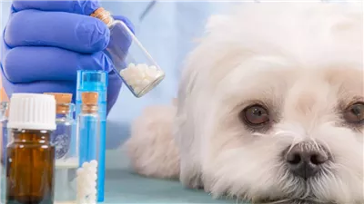 عقوبة الغش في عقاقير وأدوية الحيوانات 