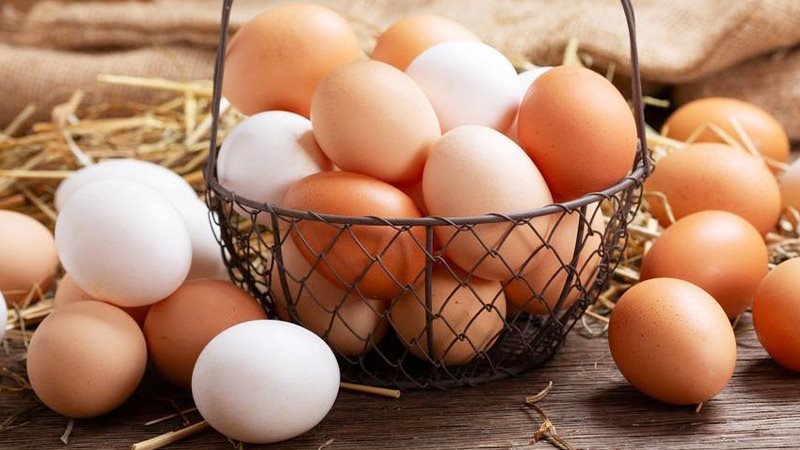  أسعار البيض اليوم