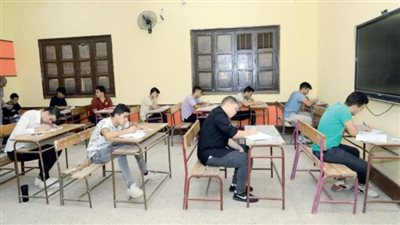 فيتو تنشر المراجعة النهائية لطلاب الثانوية العامة 2024 في اللغة العربية 