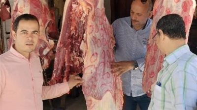 ضبط لحوم مجمدة وأسماك وكبدة غير صالحة للاستهلاك الآدمي بالبحيرة 