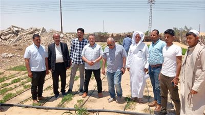 بحوث الصحراء ينظم قوافل إرشادية لمزارعي شمال سيناء 