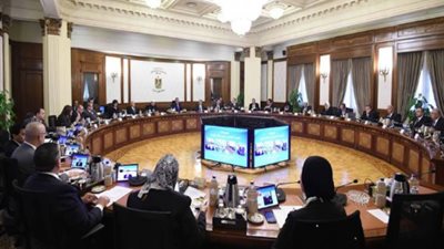 مجلس الوزراء: السلع الاستراتيجية سجلت انخفاضات تصل لـ 25.1%